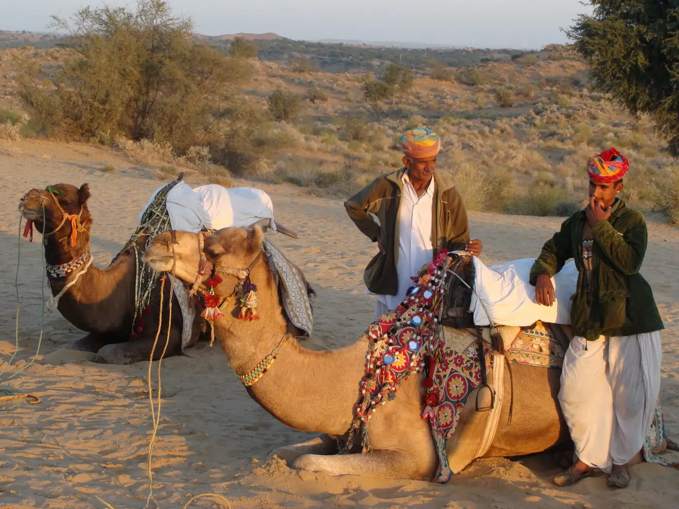 Taste of Rajasthan
